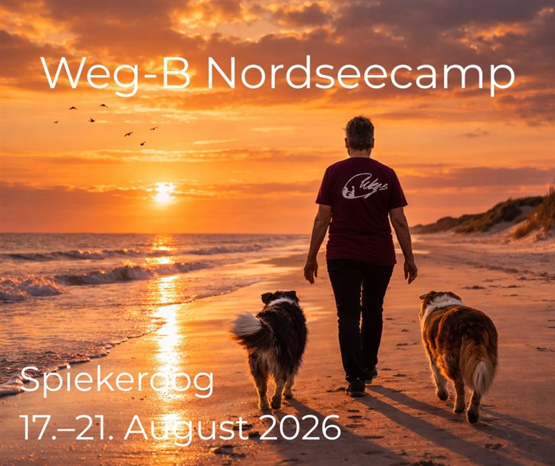Nordseecamp Spiekeroog