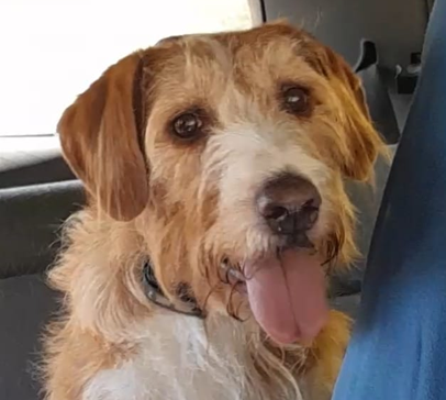 Kunde Andrea mit Rocky